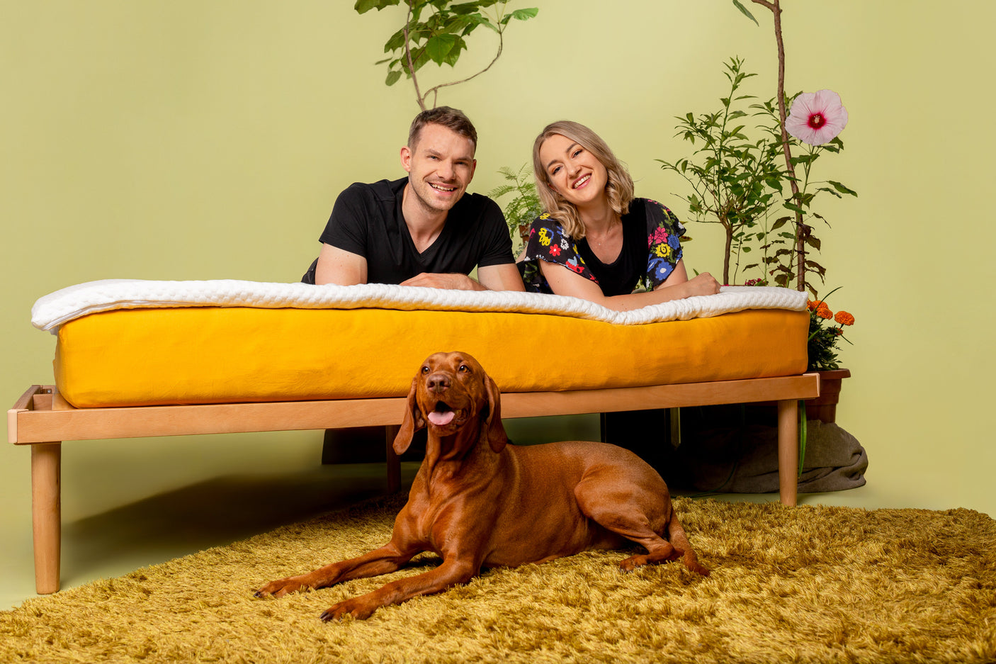 House Of dreamz House Of DreamzHouse Of dreamz - Sobrecolchón de látex natural - House Of Dreamz