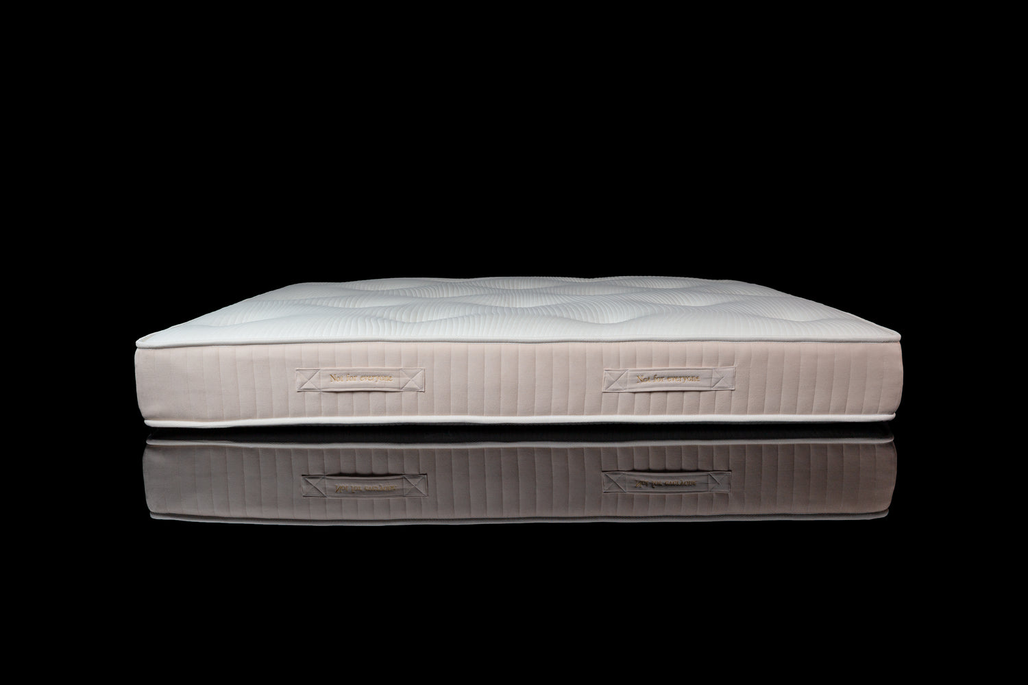 Not for everyone - MUSTANG DYNASTY